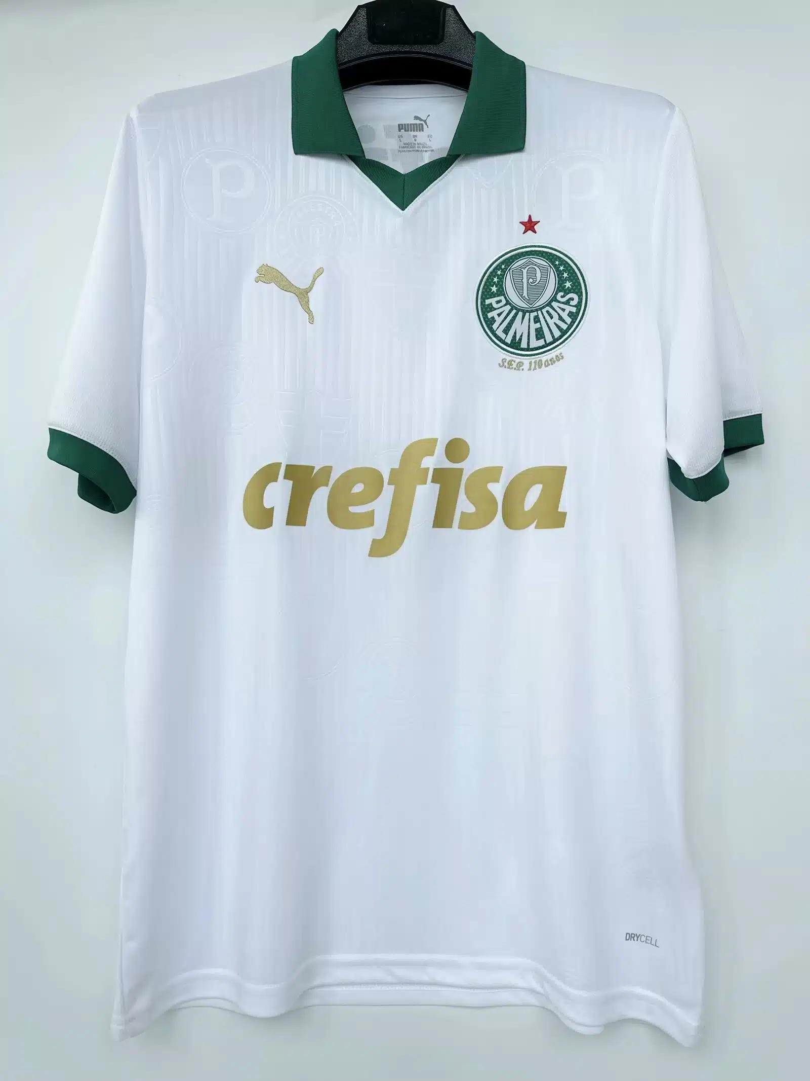 24-25 Palmeiras Away Fans Jersey/24-25帕尔梅拉斯客场球迷版