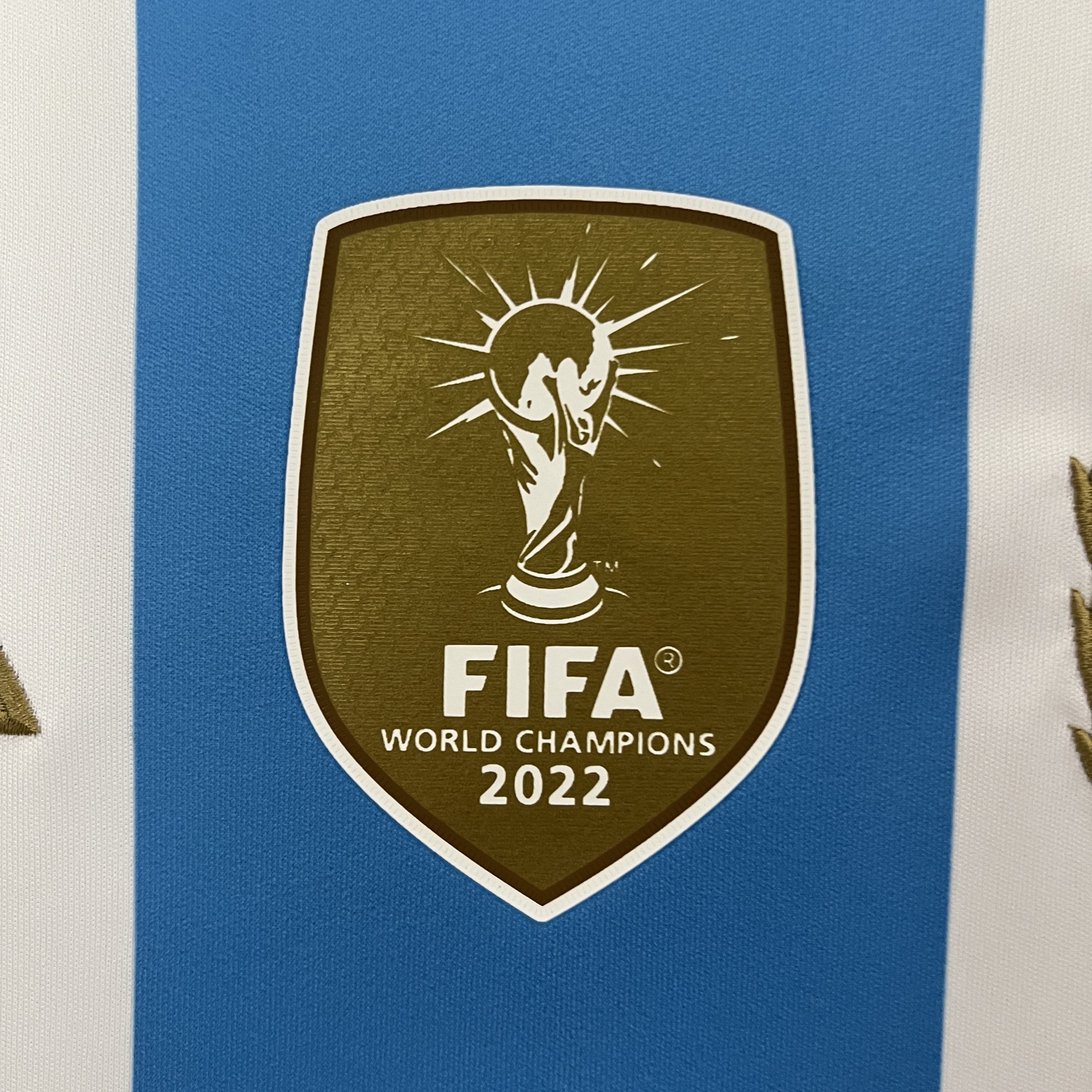 2024 Argentina Home Fans Jersey/2024阿根廷主场球迷版