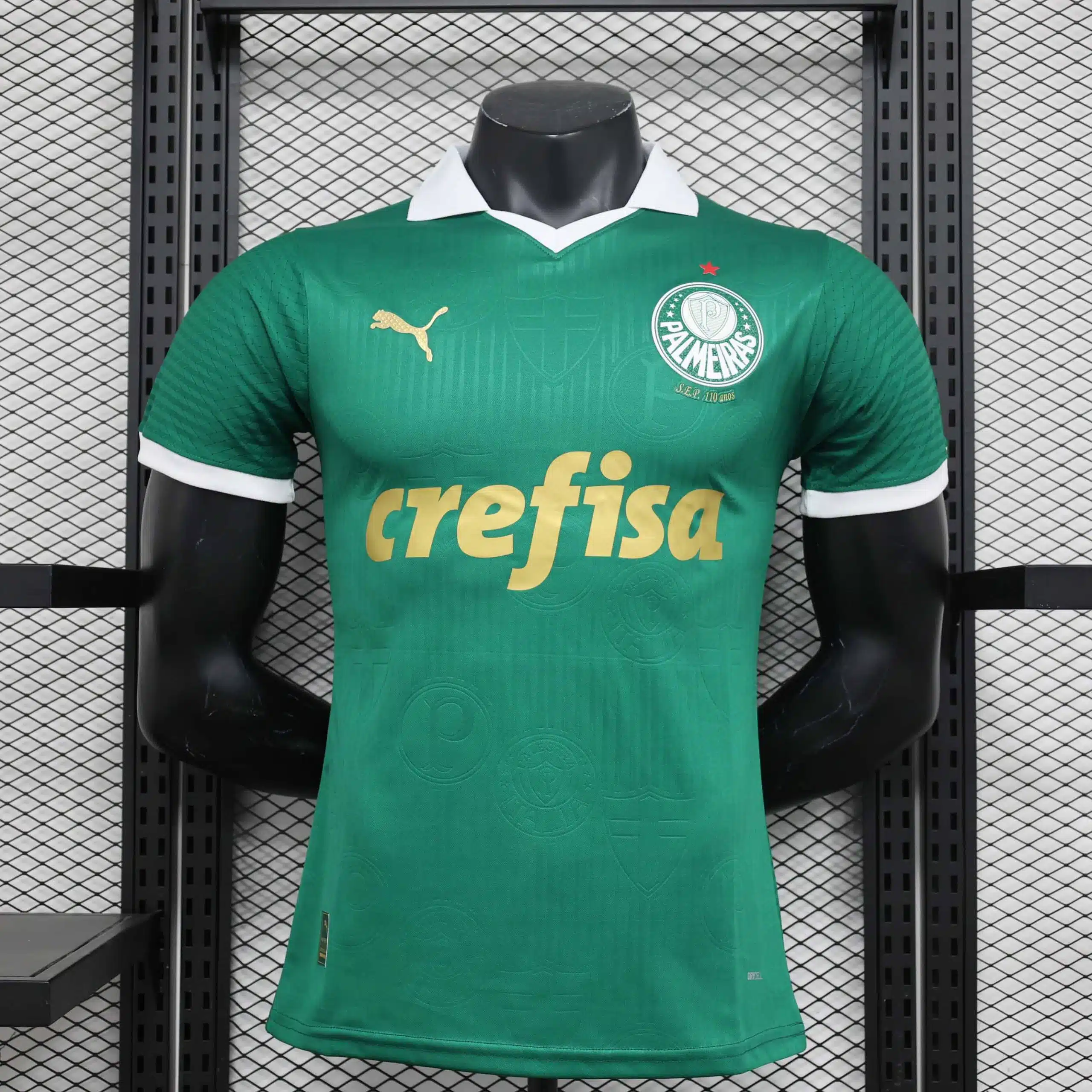 24-25 Palmeiras Home Player Jersey/24-25 帕尔梅拉斯主场球员版