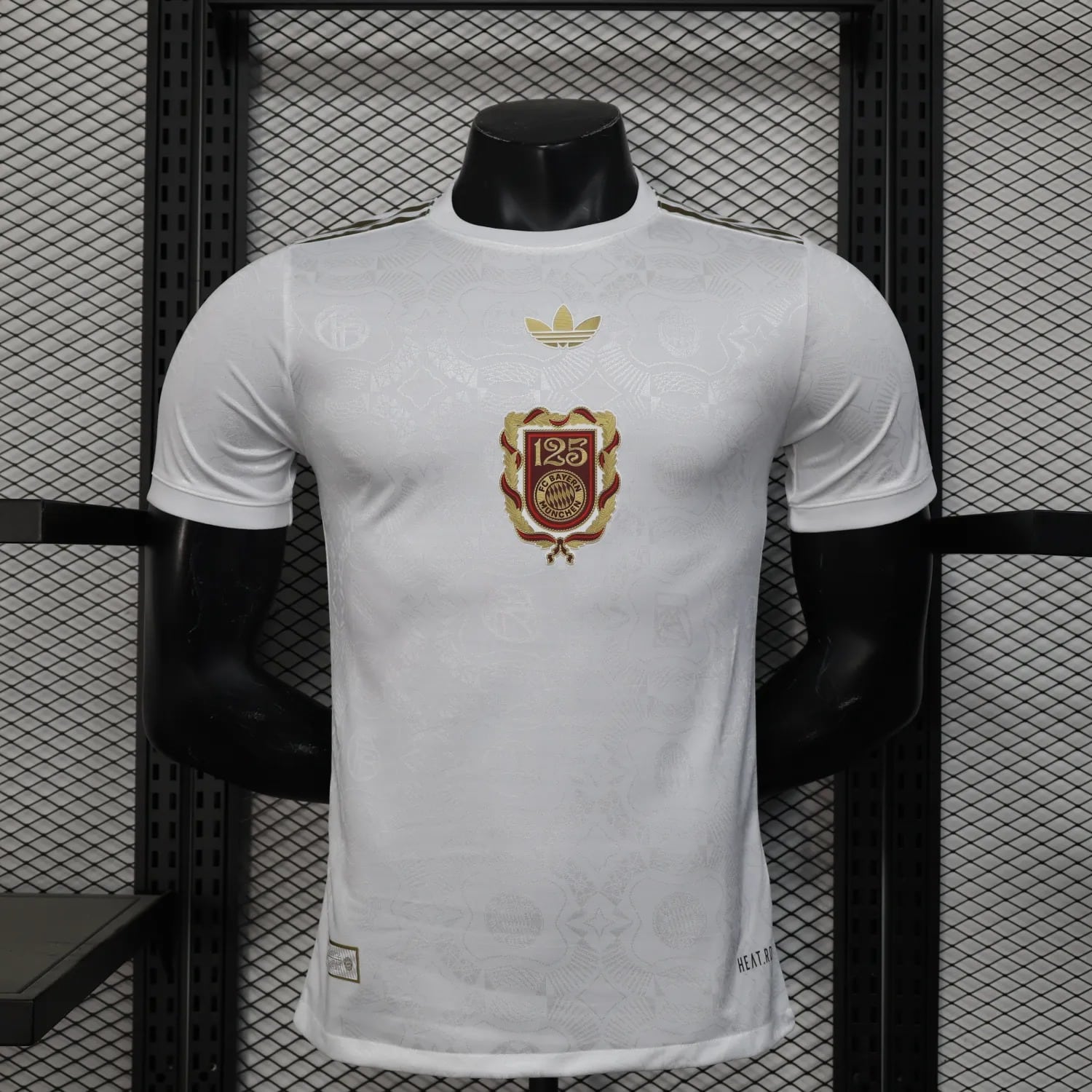24-25 Bayern Munich 125 Years Player Jersey